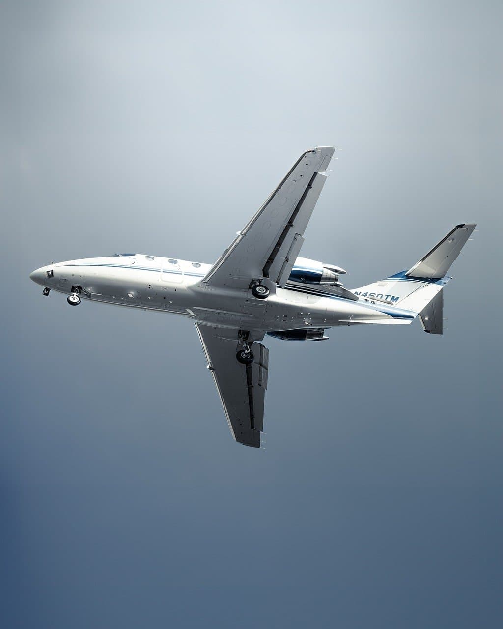 Picture of the author